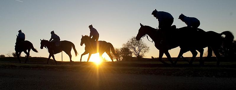 It's an early start for the racehorses at Jackdaws Castle in the heart of the Cotswolds. Picture by Edward Whitaker.